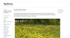 Desktop Screenshot of bigplants.com